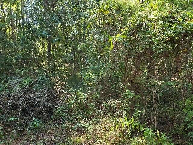 0.26 Acres of Residential Land for Sale in Vidor, Texas