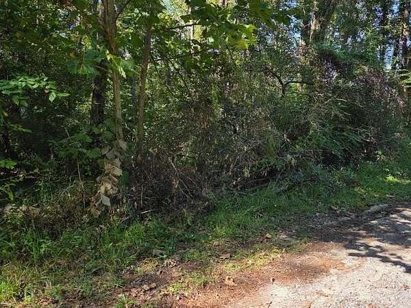 0.26 Acres of Residential Land for Sale in Vidor, Texas