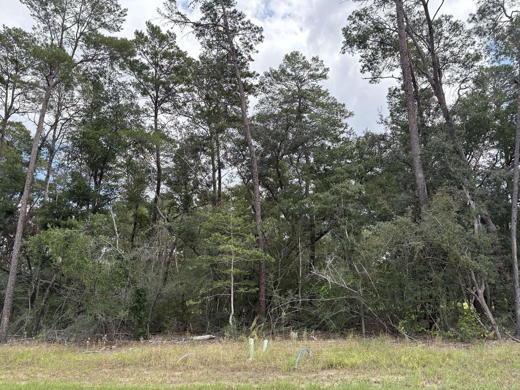 0.15 Acres of Mixed-Use Land for Sale in Niceville, Florida
