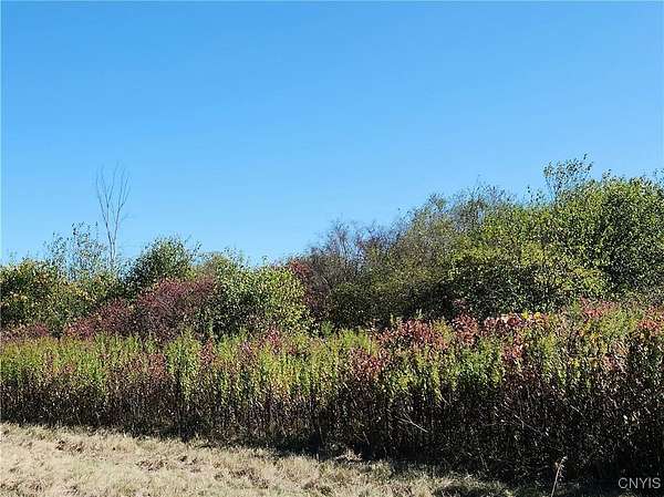 2 Acres of Residential Land for Sale in Cape Vincent, New York