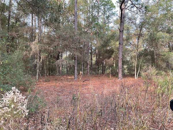 0.25 Acres of Residential Land for Sale in Ocala, Florida