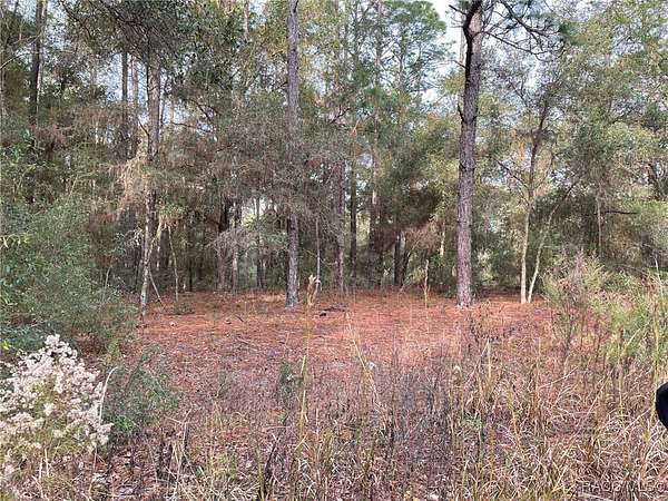 0.25 Acres of Residential Land for Sale in Ocala, Florida