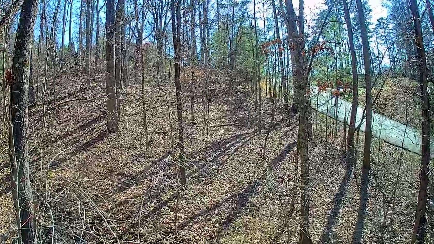 1 Acre of Residential Land for Sale in Trenton, Tennessee