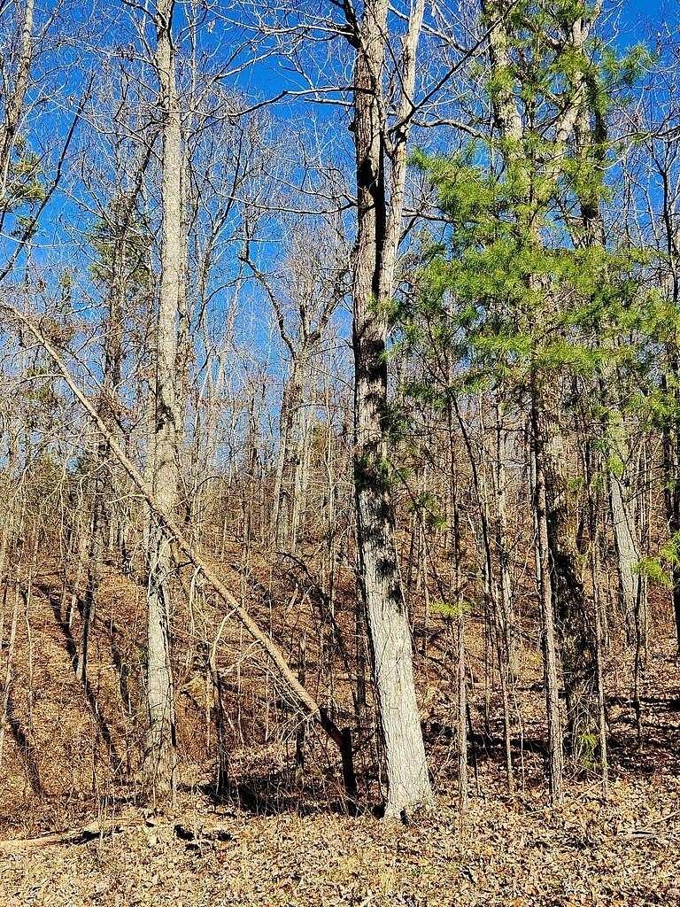 1 Acre of Residential Land for Sale in Trenton, Tennessee