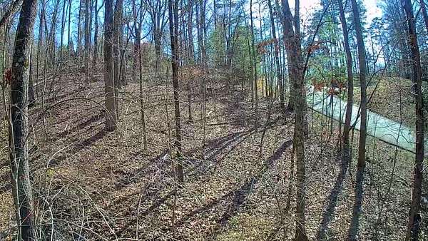 1 Acre of Residential Land for Sale in Trenton, Tennessee