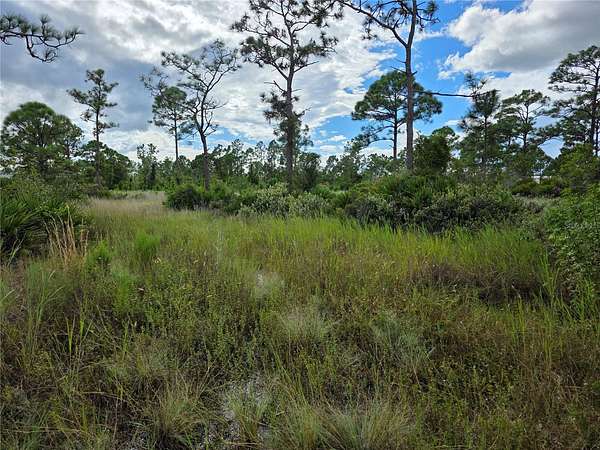 1.25 Acres of Residential Land for Sale in Punta Gorda, Florida