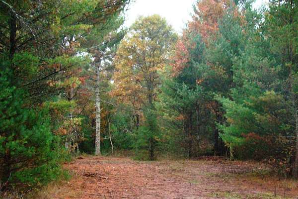 5.29 Acres of Land for Sale in Barnes Town, Wisconsin