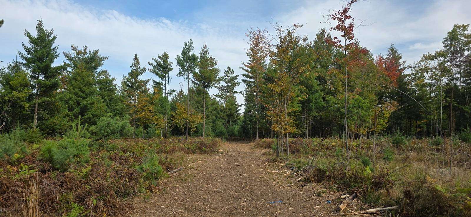 5.29 Acres of Land for Sale in Barnes Town, Wisconsin