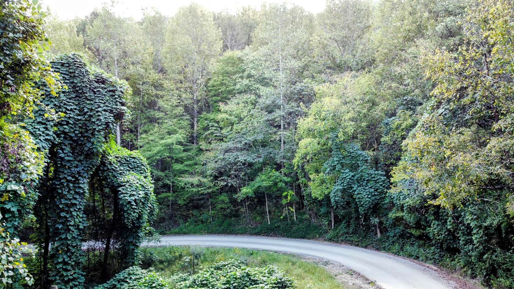 40 Acres of Recreational & Residential Land for Sale in Barbourville, Kentucky
