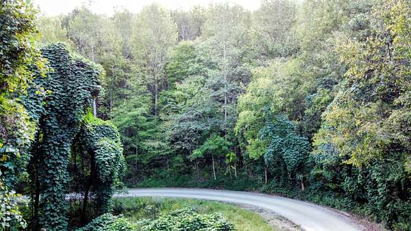 40 Acres of Recreational & Residential Land for Sale in Barbourville, Kentucky