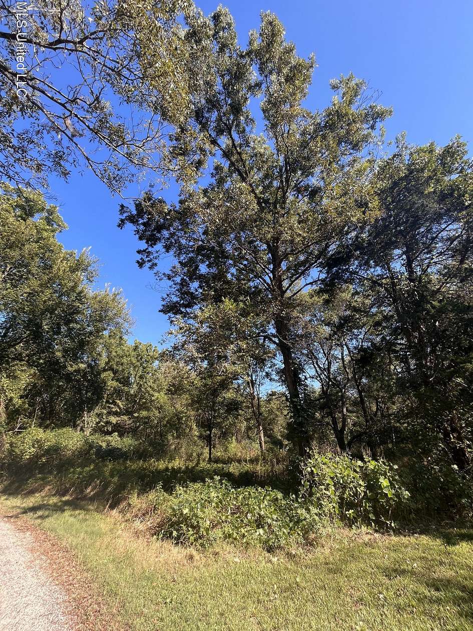 19.3 Acres of Land for Sale in Como, Mississippi