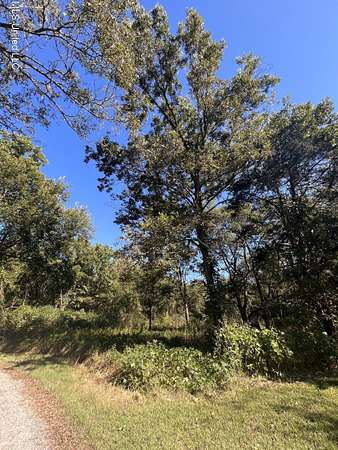 19.3 Acres of Land for Sale in Como, Mississippi
