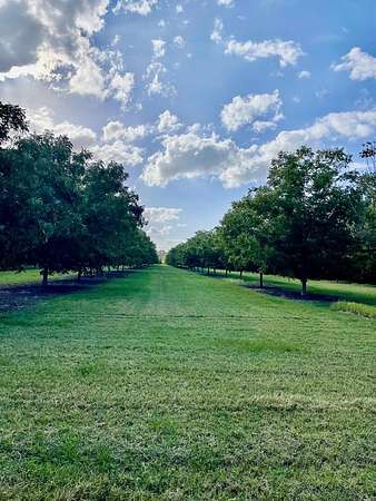 100 Acres of Land for Sale in Ray City, Georgia