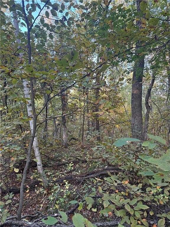0.45 Acres of Land for Sale in Breezy Point, Minnesota
