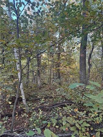 0.45 Acres of Land for Sale in Breezy Point, Minnesota