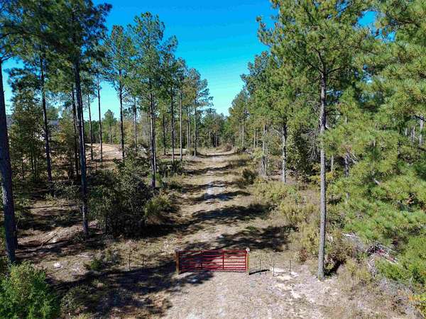 35.1 Acres of Recreational Land for Sale in Pauline, South Carolina