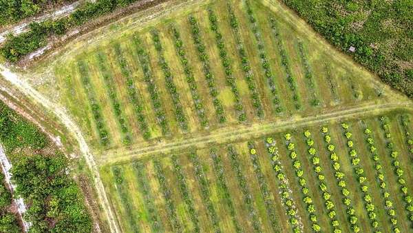 40.8 Acres of Land for Sale in Valdosta, Georgia