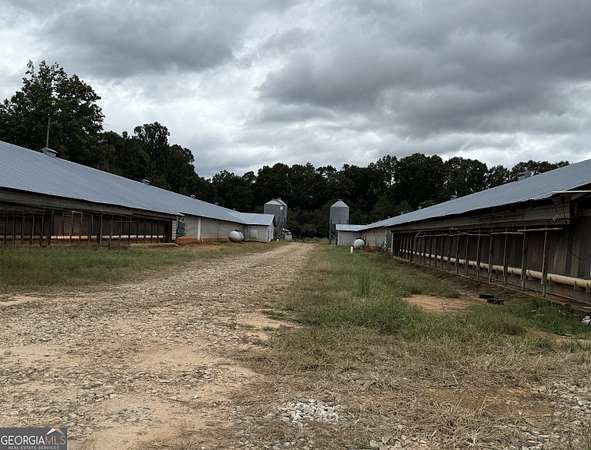 21.4 Acres of Land for Sale in Carnesville, Georgia