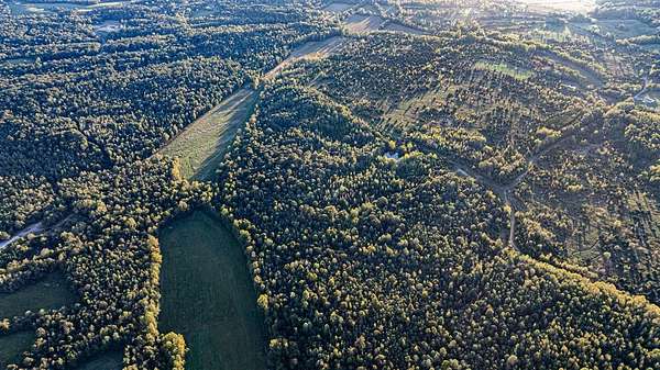 244 Acres of Recreational Land for Auction in Greenville, Kentucky