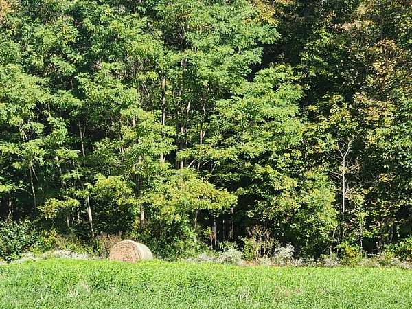 26.7 Acres of Recreational Land for Sale in Milan, Indiana