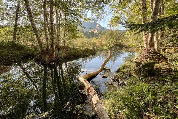 0.7 Acres of Land for Sale in Packwood, Washington