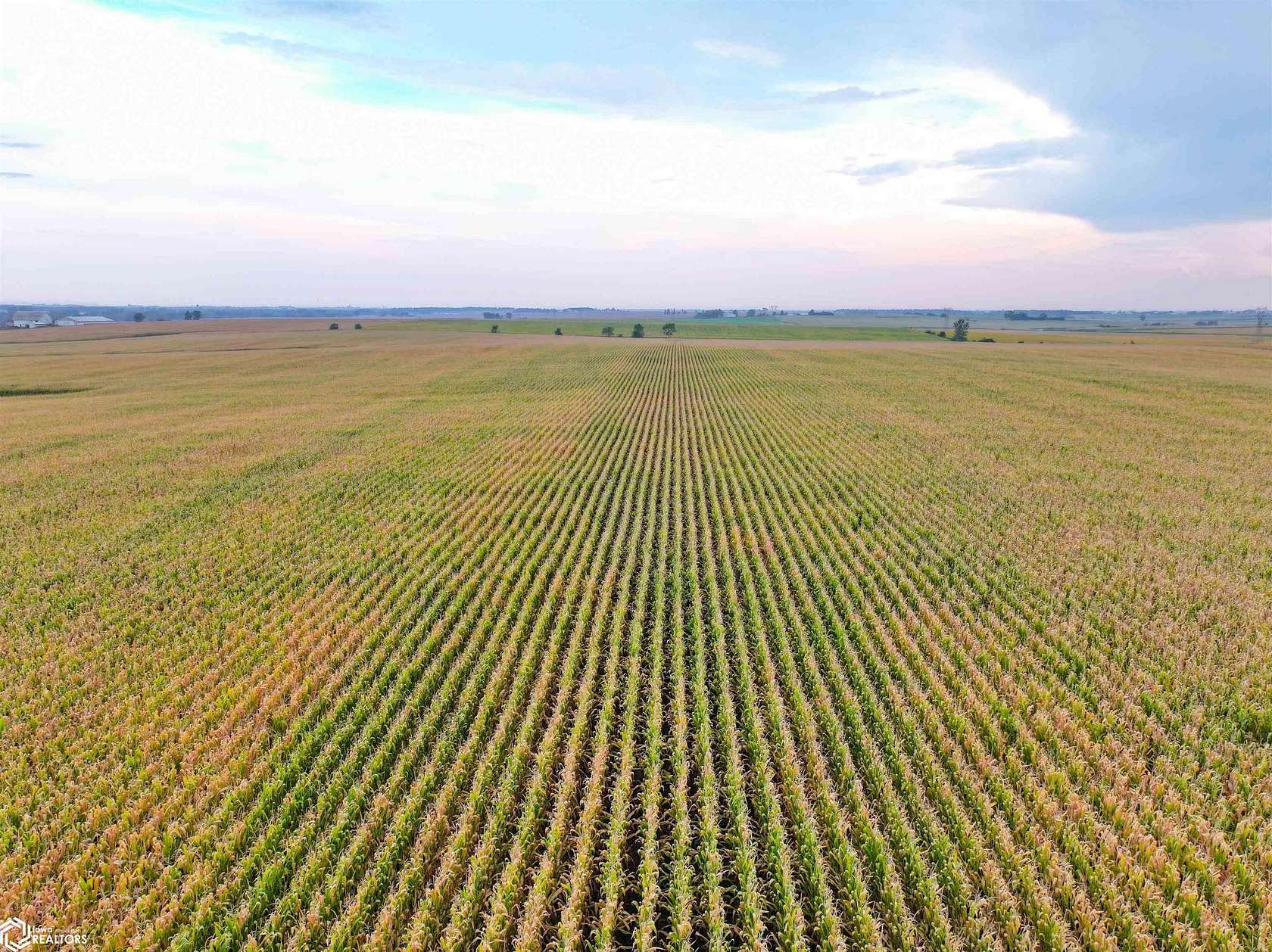 170 Acres of Agricultural Land for Auction in Oelwein, Iowa