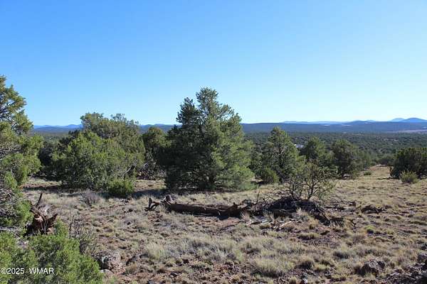 1.5 Acres of Residential Land for Sale in Concho, Arizona