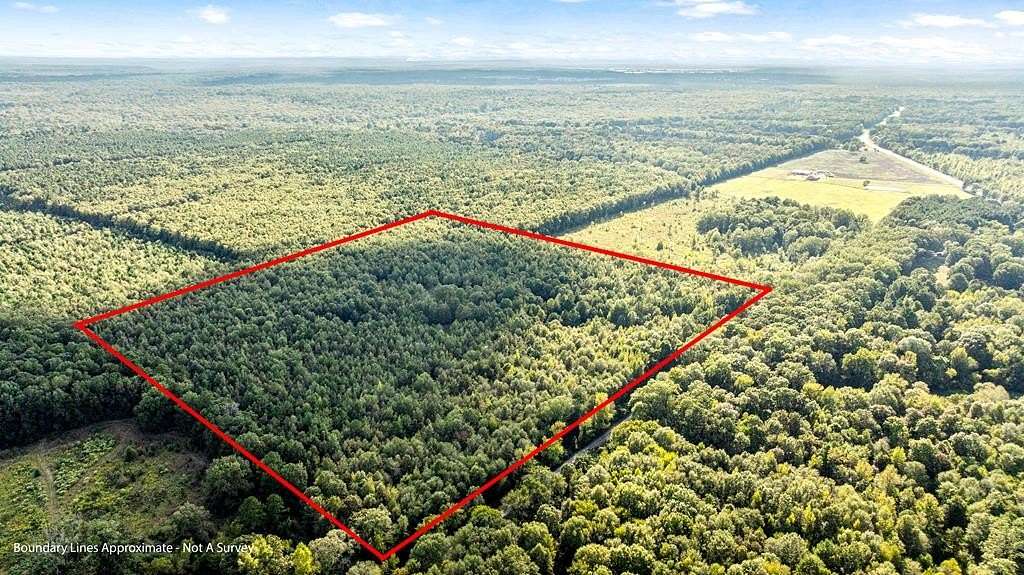 40.8 Acres of Recreational Land for Sale in Simms, Texas