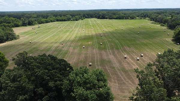 118 Acres of Recreational Land & Farm for Sale in De Kalb, Texas