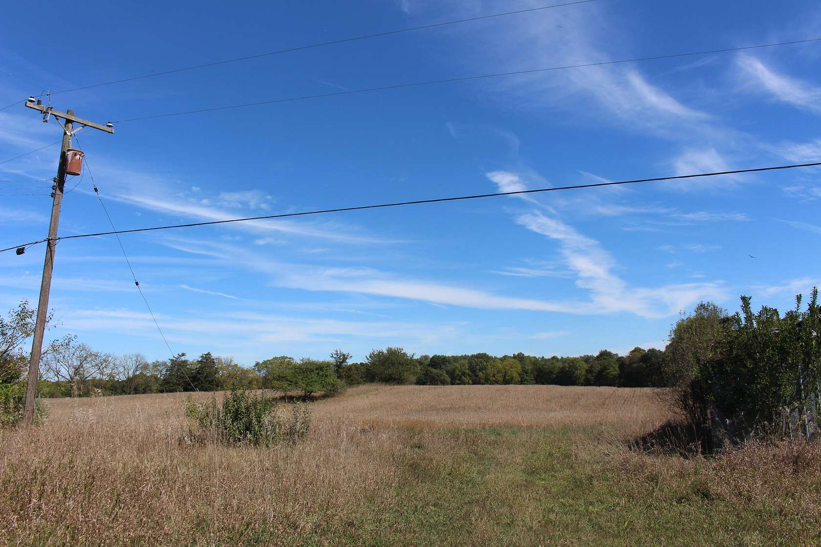 68.3 Acres of Agricultural Land for Sale in Grass Lake, Michigan