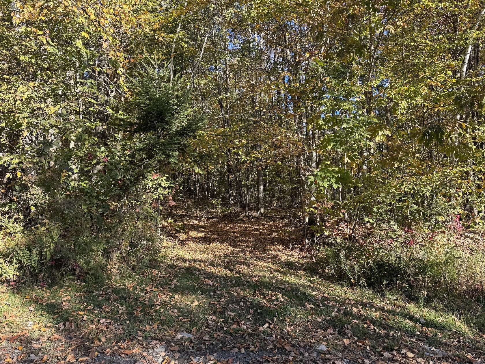 6 Acres of Residential Land for Sale in Saint Albans, Maine