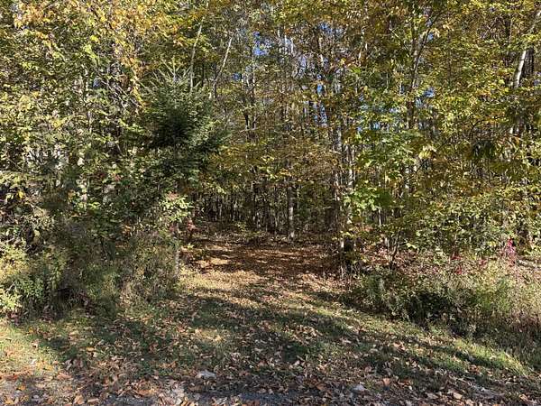 6 Acres of Residential Land for Sale in Saint Albans, Maine