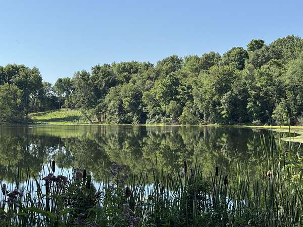 1 Acre of Land for Sale in Coral, Michigan
