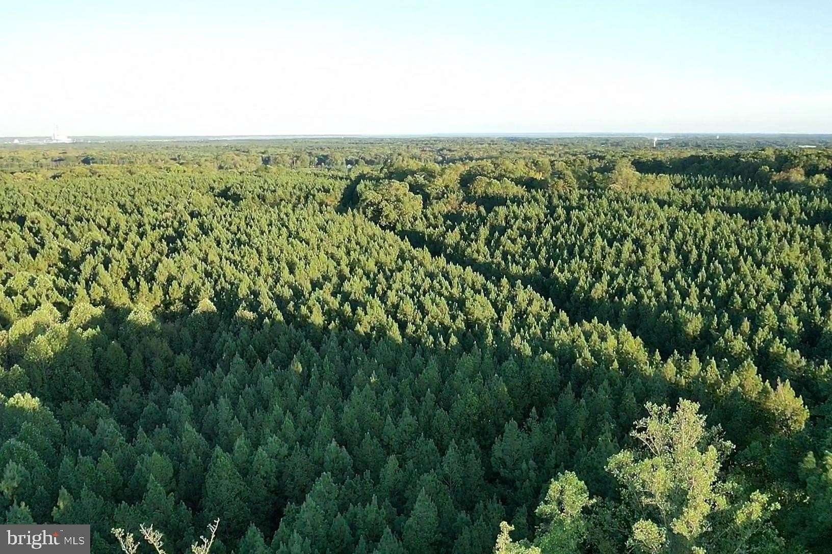 162 Acres of Recreational Land for Sale in King George, Virginia