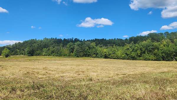 6 Acres of Residential Land for Sale in Story, Arkansas