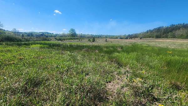 6 Acres of Residential Land for Sale in Story, Arkansas