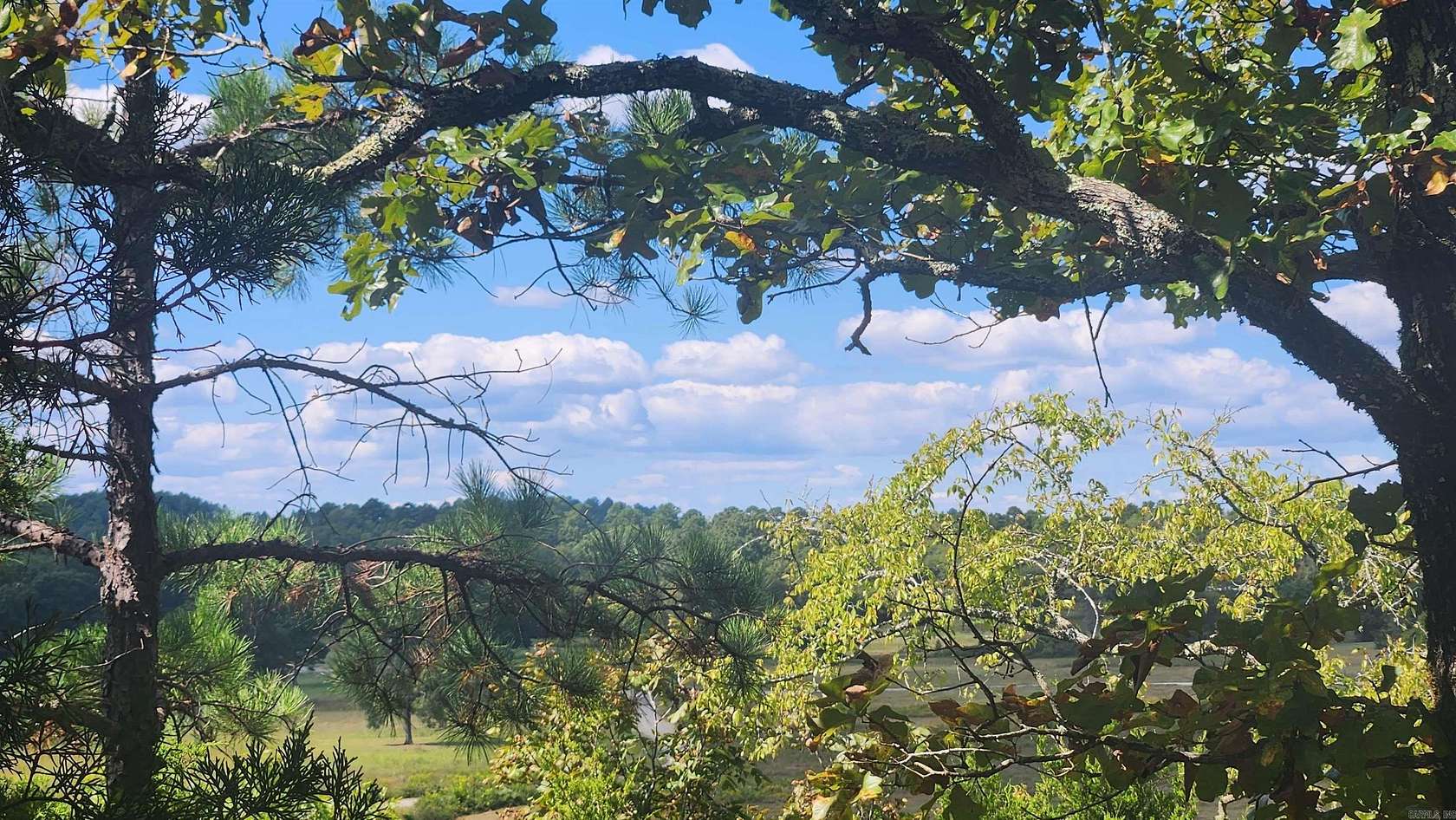 6 Acres of Residential Land for Sale in Story, Arkansas