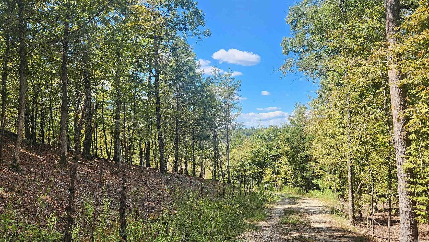 6 Acres of Residential Land for Sale in Story, Arkansas