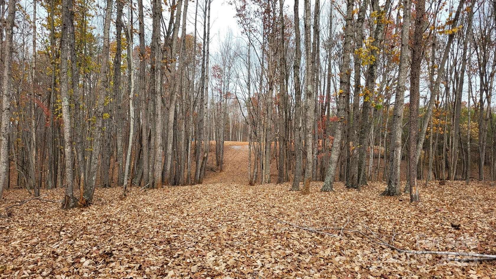 11 Acres of Land for Sale in Sandy Ridge, North Carolina