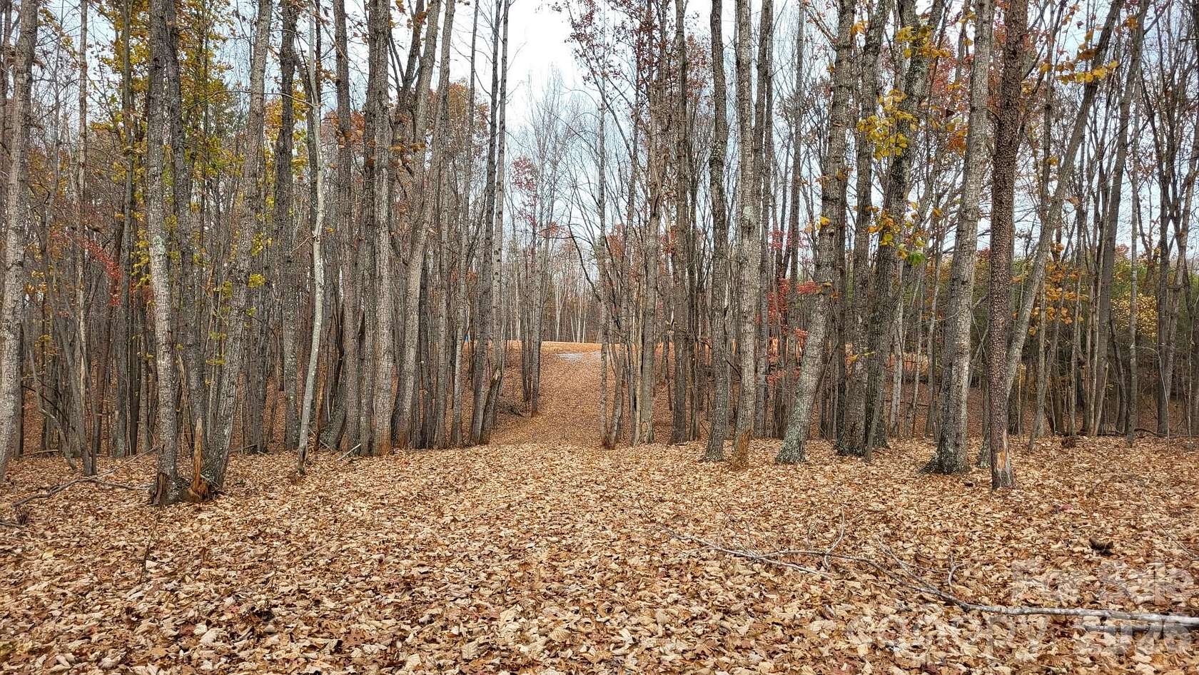 11 Acres of Land for Sale in Sandy Ridge, North Carolina