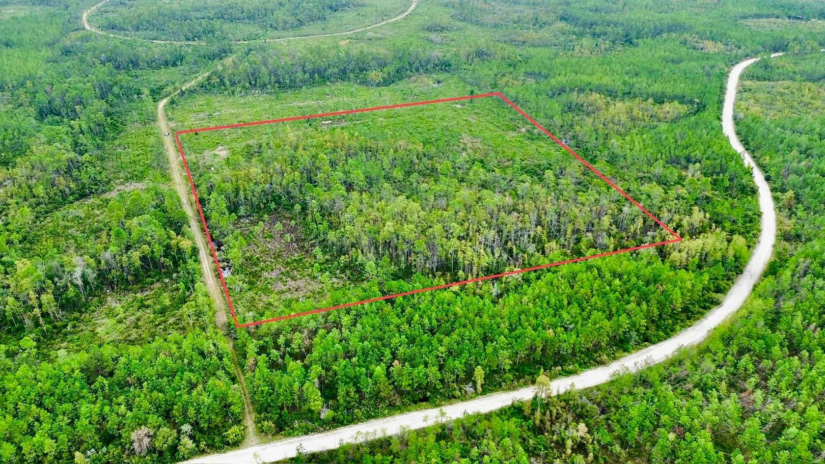 20.2 Acres of Recreational Land for Sale in Greenville, Florida