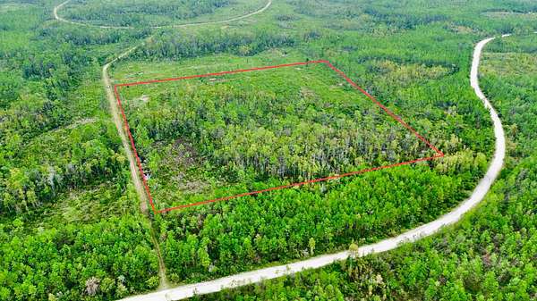 20.2 Acres of Recreational Land for Sale in Greenville, Florida