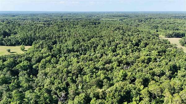 10 Acres of Recreational Land for Sale in Monticello, Florida