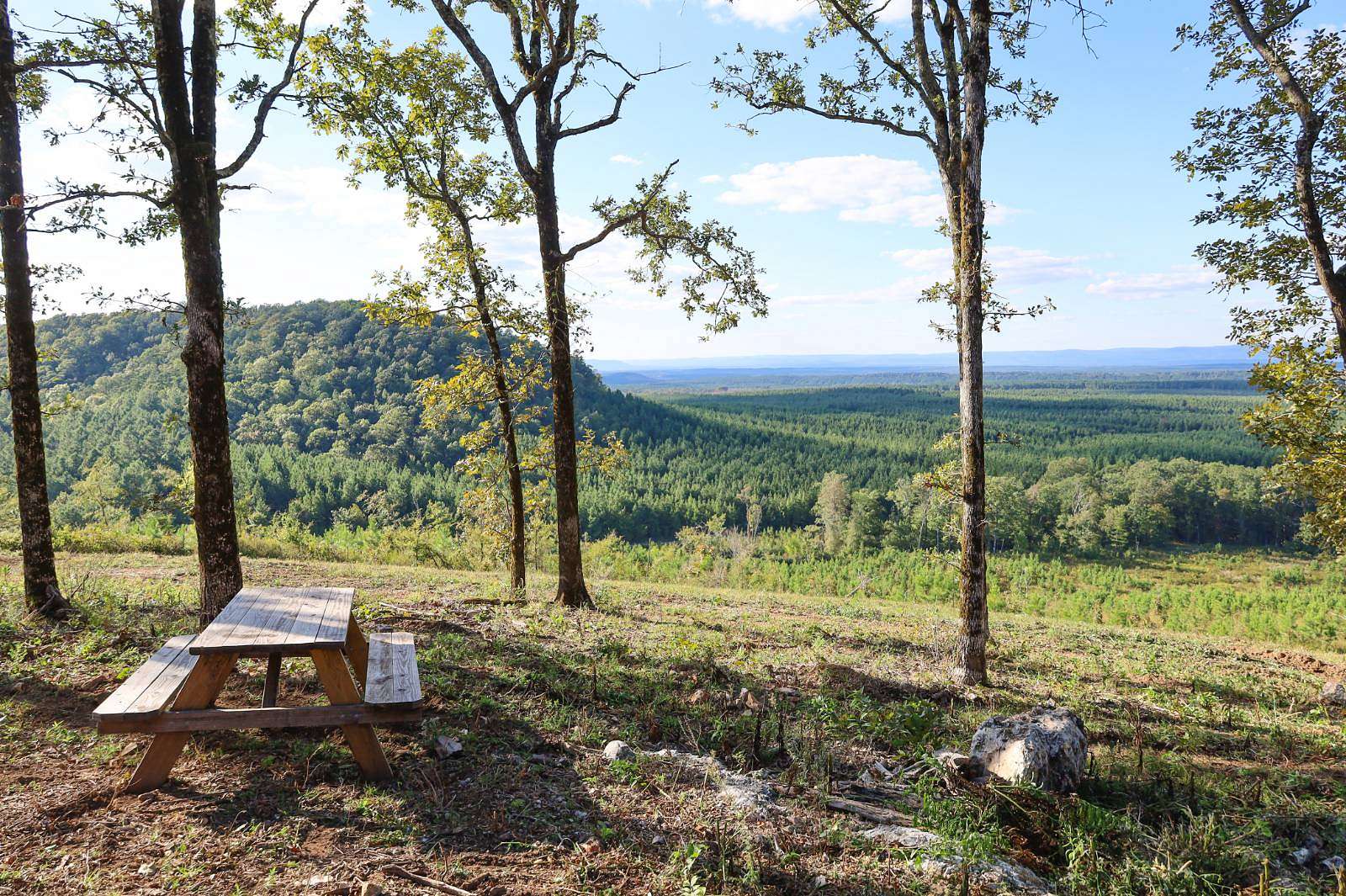 322 Acres of Recreational Land for Sale in Smithville, Oklahoma