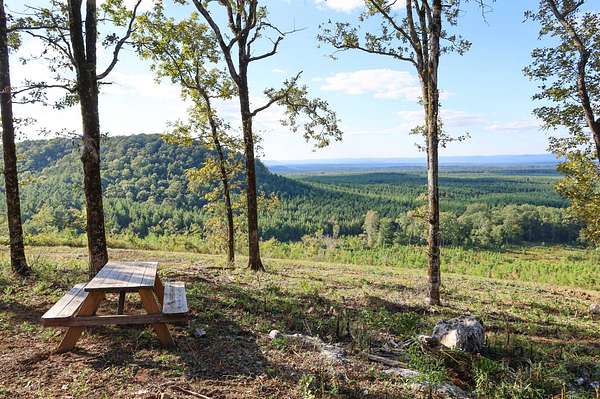 322 Acres of Recreational Land for Sale in Smithville, Oklahoma