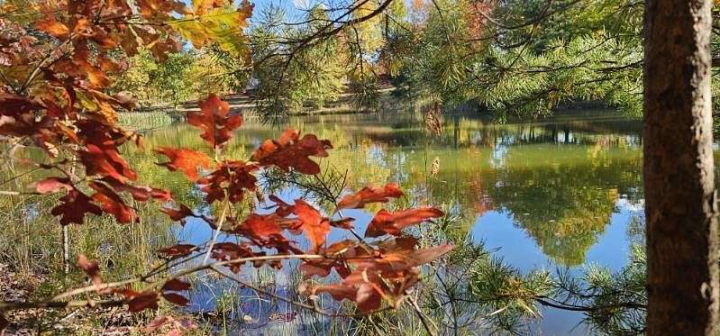 2.8 Acres of Land for Sale in Dunlap, Tennessee