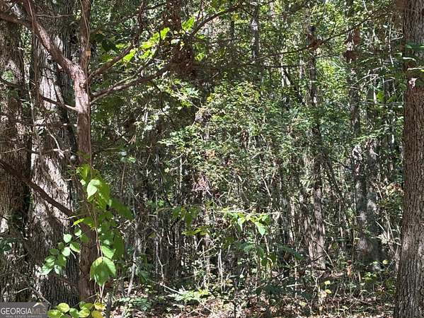 3.45 Acres of Land for Sale in Union Point, Georgia