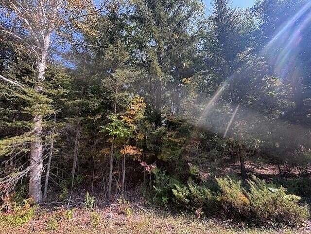 0.35 Acres of Land for Sale in Presque Isle, Michigan