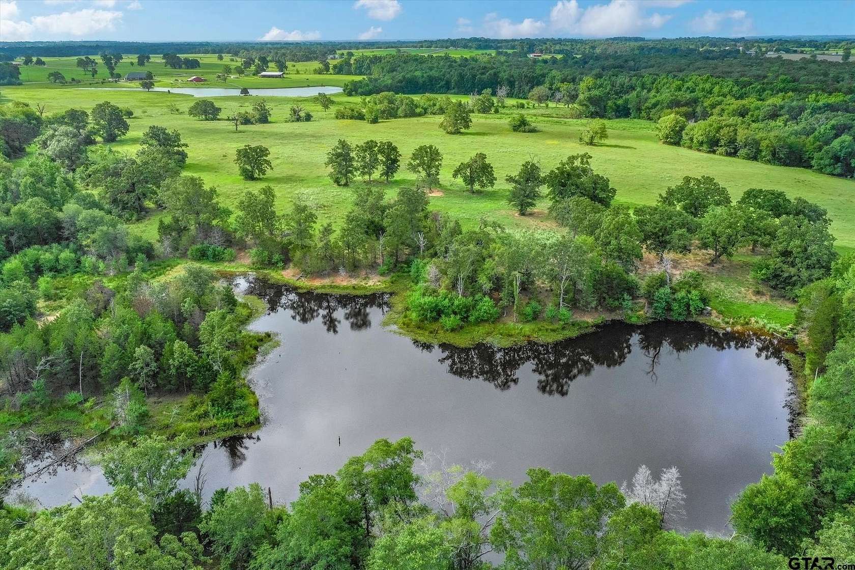 100 Acres of Land for Sale in Grand Saline, Texas