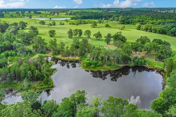 100 Acres of Agricultural & Residential Land for Sale in Grand Saline, Texas